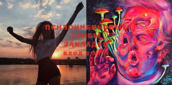 героин Заводоуковск