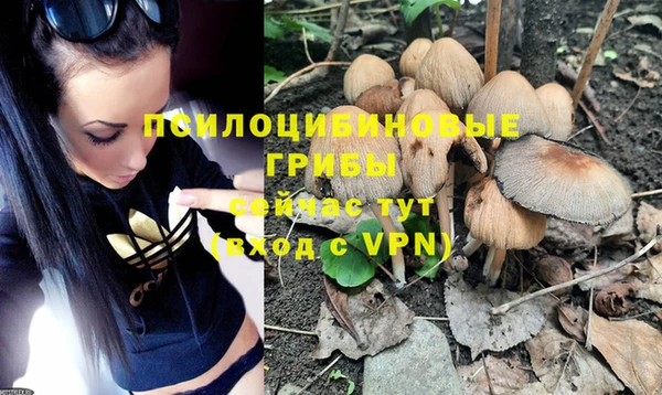 гидра Ачинск