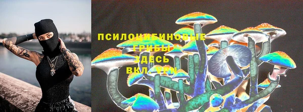 прущая мука Заволжск