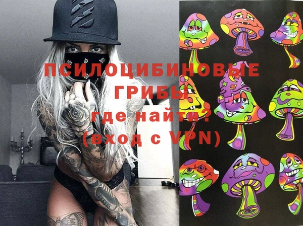 mix Ельня