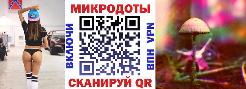 купить наркотики цена  Зеленогорск  Псилоцибиновые грибы MAGIC MUSHROOMS 